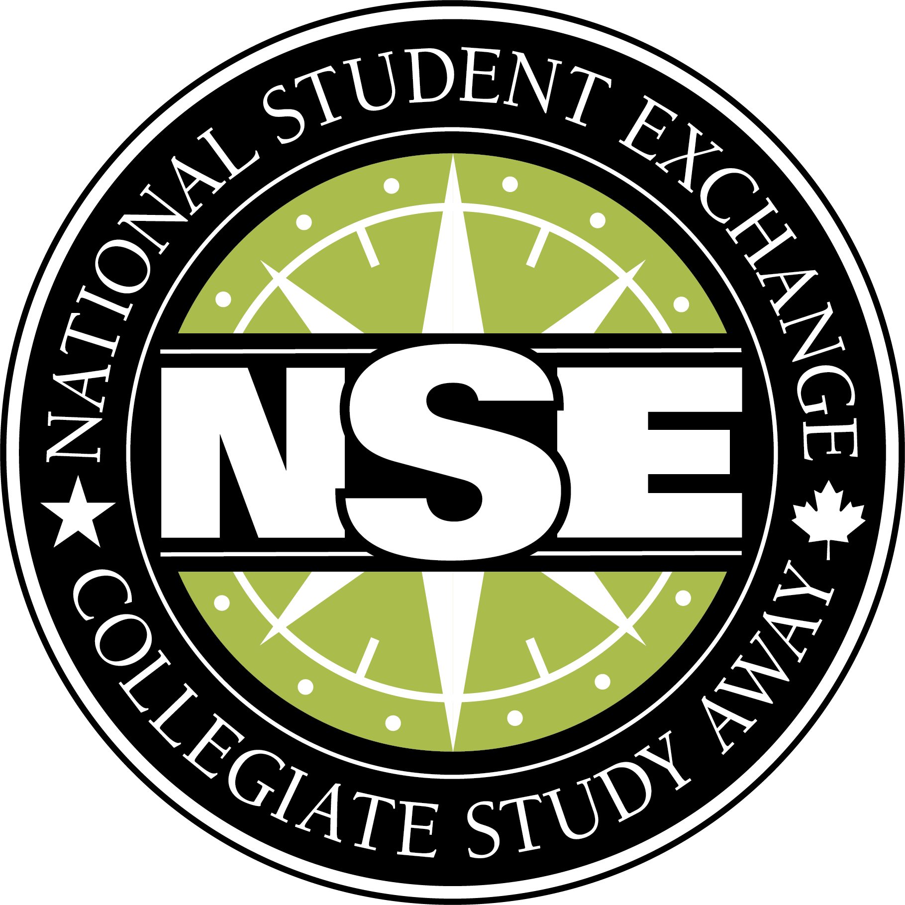 NSE Logo